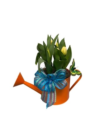 Spring Is Here Dish Garden Plant