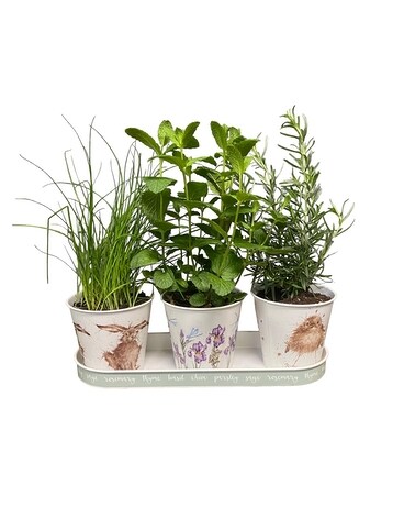 Mixed Herb Garden Flower Arrangement