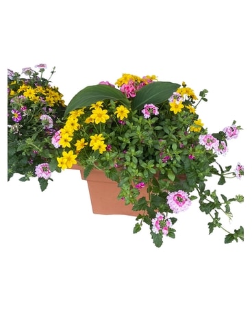 Outdoor Planter Flower Arrangement