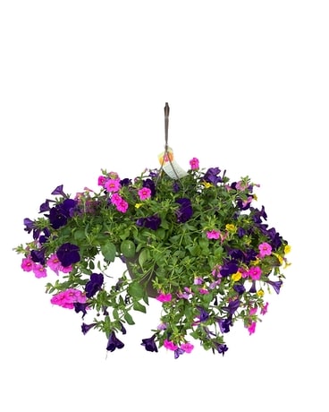 Hanging Basket Flower Arrangement