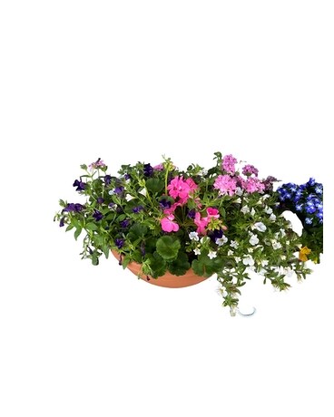 Outdoor Combo Pot Flower Arrangement