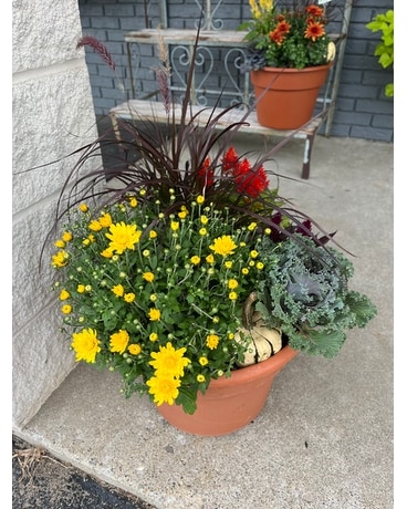 Large Fall Planter Plant