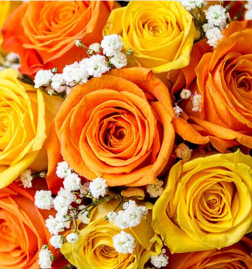 Norwalk Florist - Flower Delivery by Bruce's Flowers