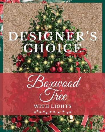 Designers Choice Boxwood Tree with Lights Flower Arrangement