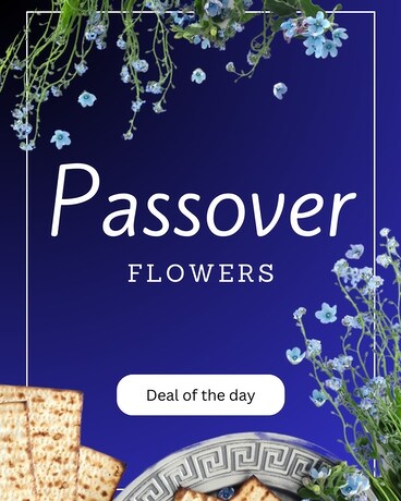 Passover Deal of the Day Flower Arrangement