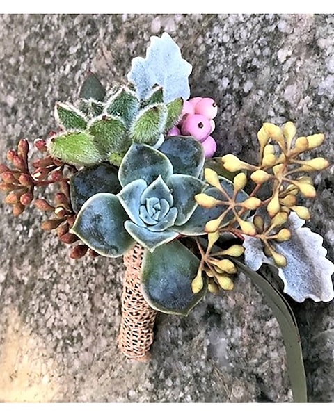 Organic Succulent Boutonniere