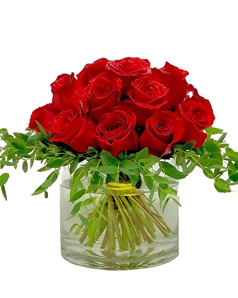1 Dozen Roses