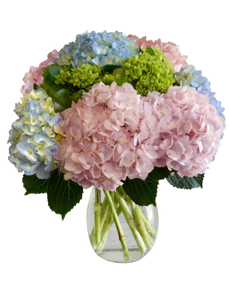 Aromantic様 hydrangea様セット さぁやさま・:*+ 【公式通販】