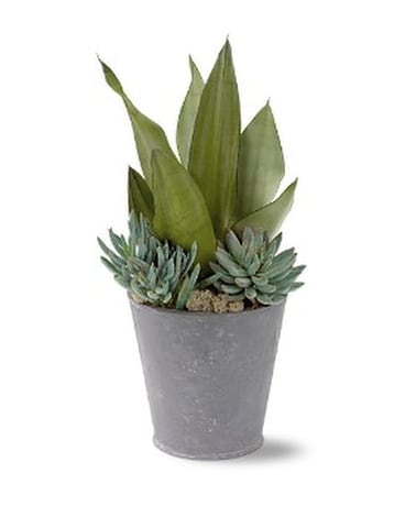 Succulent Garden Flower Arrangement