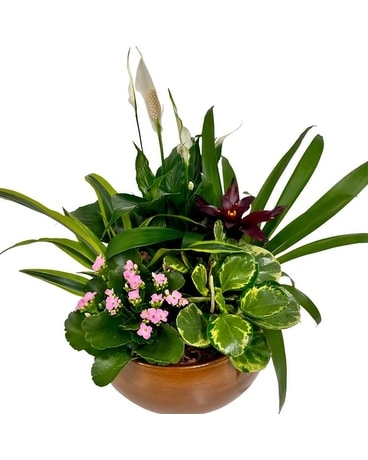XL Tuscan Tropical European Garden Flower Arrangement