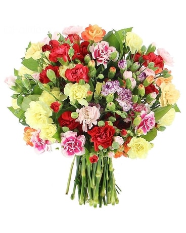 Bouquet of Multi Colour Carnations Flower Arrangement