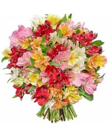 Alstromeria Liberty Flower Arrangement