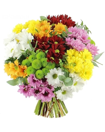 Bouquet of Chyrsanthemums Flower Arrangement