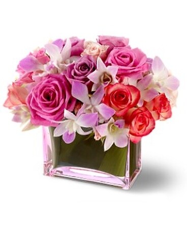 Teleflora's Butterfly Kisses Flower Arrangement