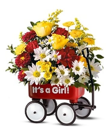 Teleflora's Baby's First Wagon - Girl Flower Arrangement