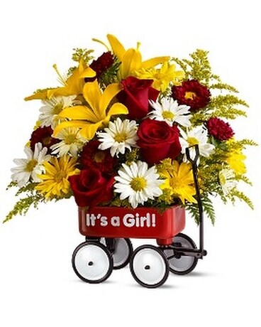 Teleflora's Baby's First Wagon - Girl - Deluxe Flower Arrangement