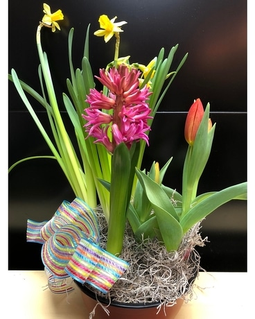 Spring Bulb Garden Flower Arrangement