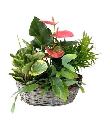 Large Oval Wicker Garden Flower Arrangement