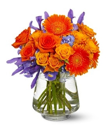 Paint The Town Flower Arrangement