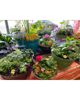 Patio Garden Flower Arrangement