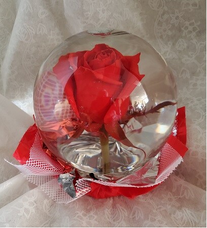 Natural Red Rose in the globe Gifts