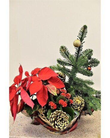 Christmas Centerpiece #17 Flower Arrangement