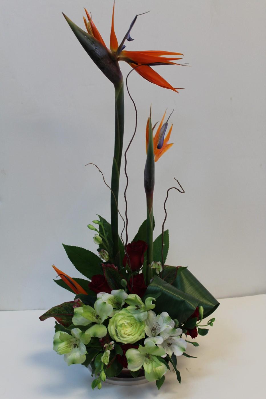 Birds of Paradaise Flower Arrangement