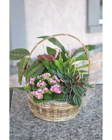 European Garden Small Flower Arrangement