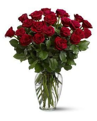 2 Dozen Red Roses Flower Arrangement
