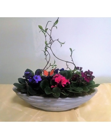 Floating Violets Plant