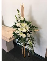 Standard size,  inches height and  inches wide.