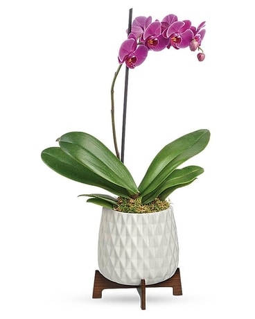 Architectural Orchid Flower Arrangement