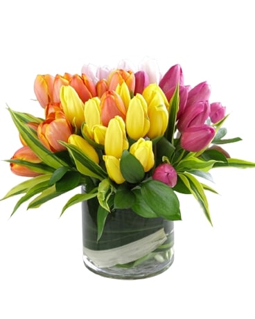 Tempting Tulips Flower Arrangement