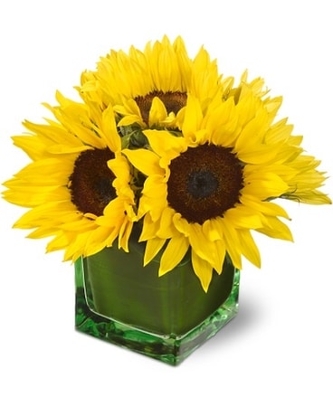 Modern Sunshine Flower Arrangement