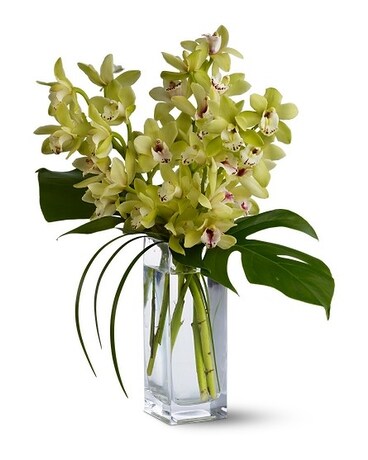 Orchid Elegance Flower Arrangement