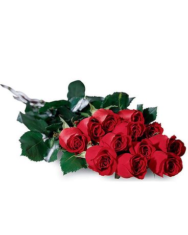 Loose Wrapped Bouquet of Roses Flower Arrangement