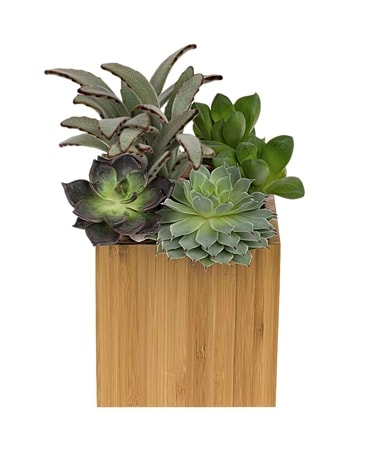 Mindful Moment Garden Flower Arrangement