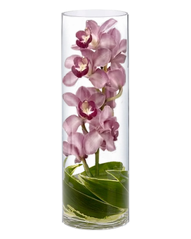 Made in pink  size,  inches height and  inches wide.