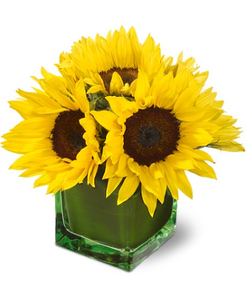 Modern Sunshine Flower Arrangement