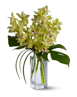As Shown size,  inches height and  inches wide.
