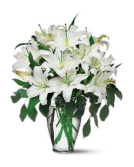 As Shown size, 21 inches height and 18 inches wide.