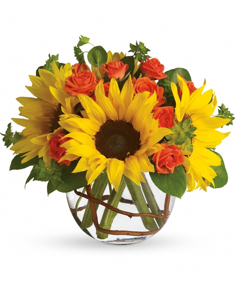 Sunny Sunflowers DX in Aventura FL - Aventura Florist