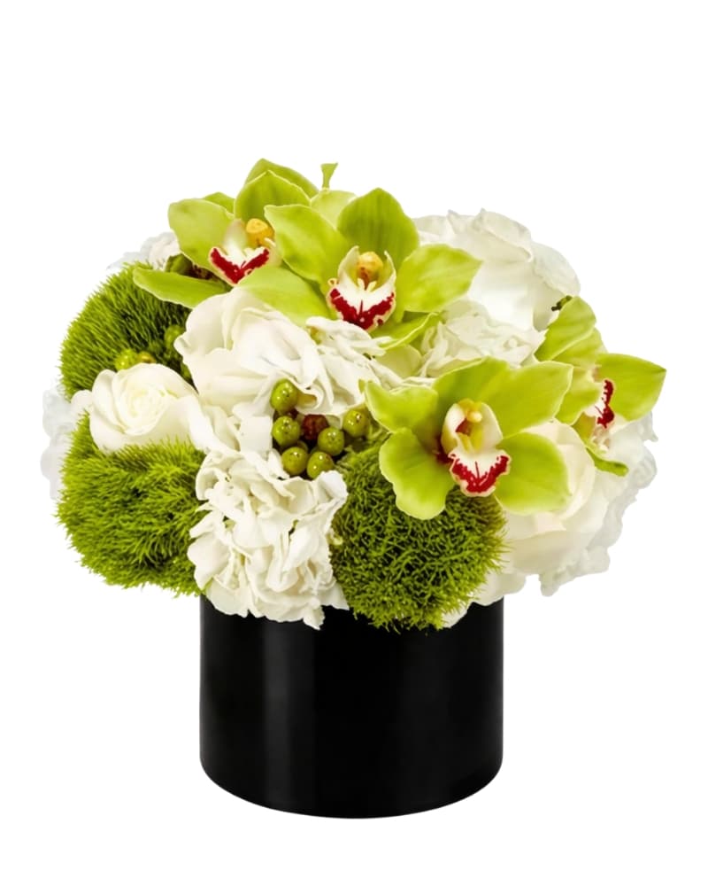 Green Orchids & White Hydrangea Arrangement in Aventura FL