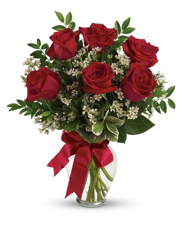 Half Dozen Red Roses Flower Arrangement