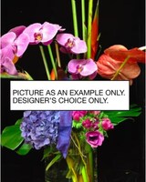 Deluxe size,  inches height and  inches wide.