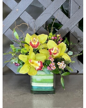 Orchid in a box Flower Arrangement