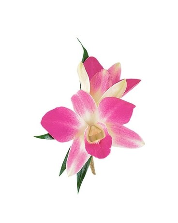 Dendrobium Boutonniere Boutonniere