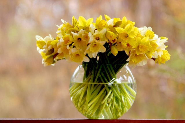 yellow flowers in vase