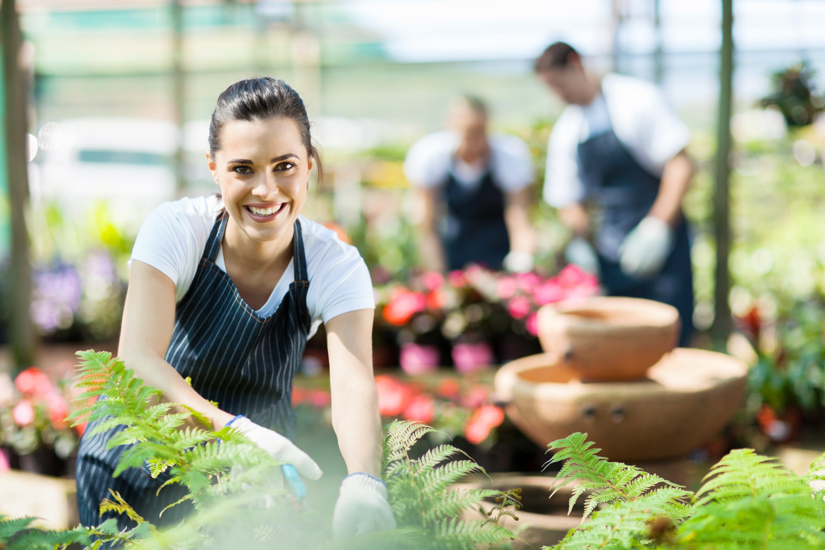 What Makes a Beautiful Bouquet of Flowers | Marine Florists