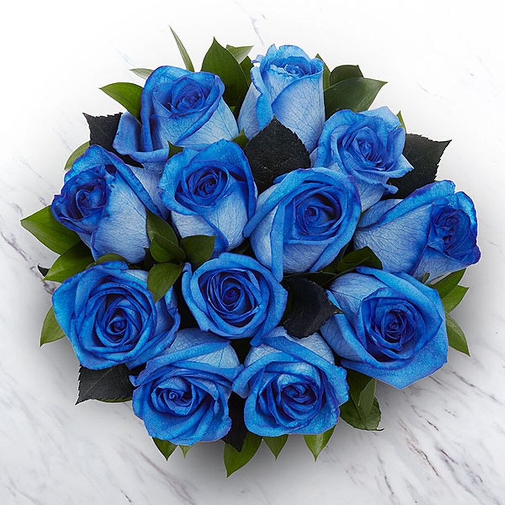 Blue-tiful Blue Roses in Brooklyn NY - Marine Florists